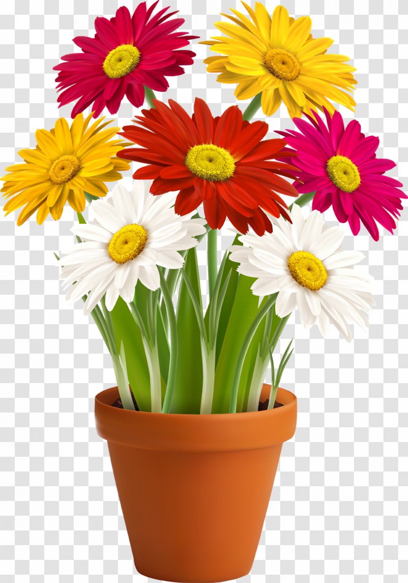Flowerpot Vase Houseplant - Daisy Family - Chamomile Transparent PNG