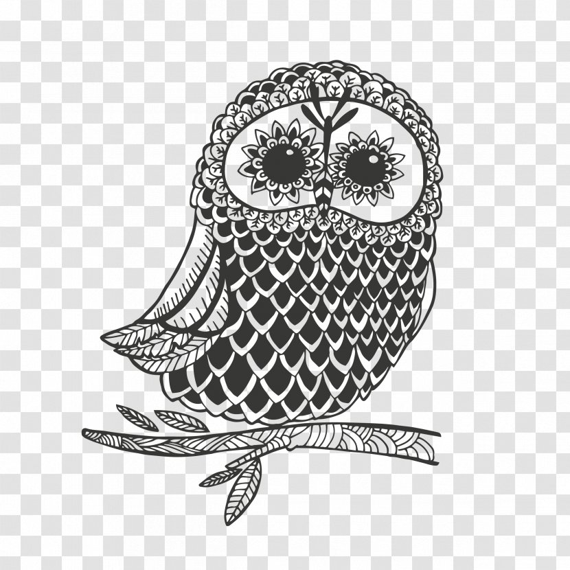 Owl Drawing Image Vector Graphics Clip Art - Vertebrate Transparent PNG