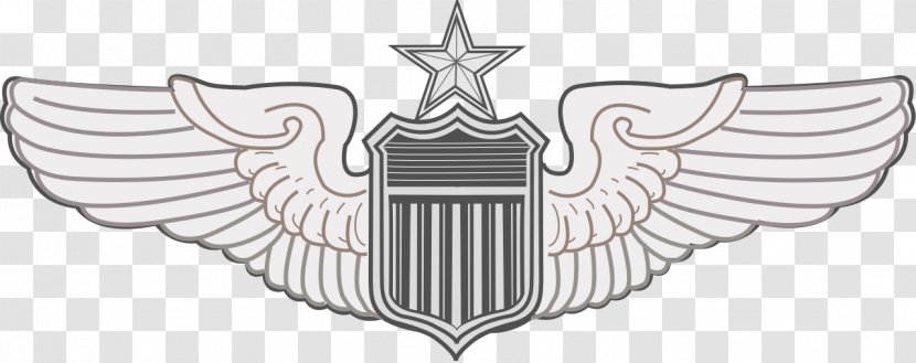 U.S. Air Force Aeronautical Rating 0506147919 United States Aviator Badge Badges Of The - Wings Material Transparent PNG