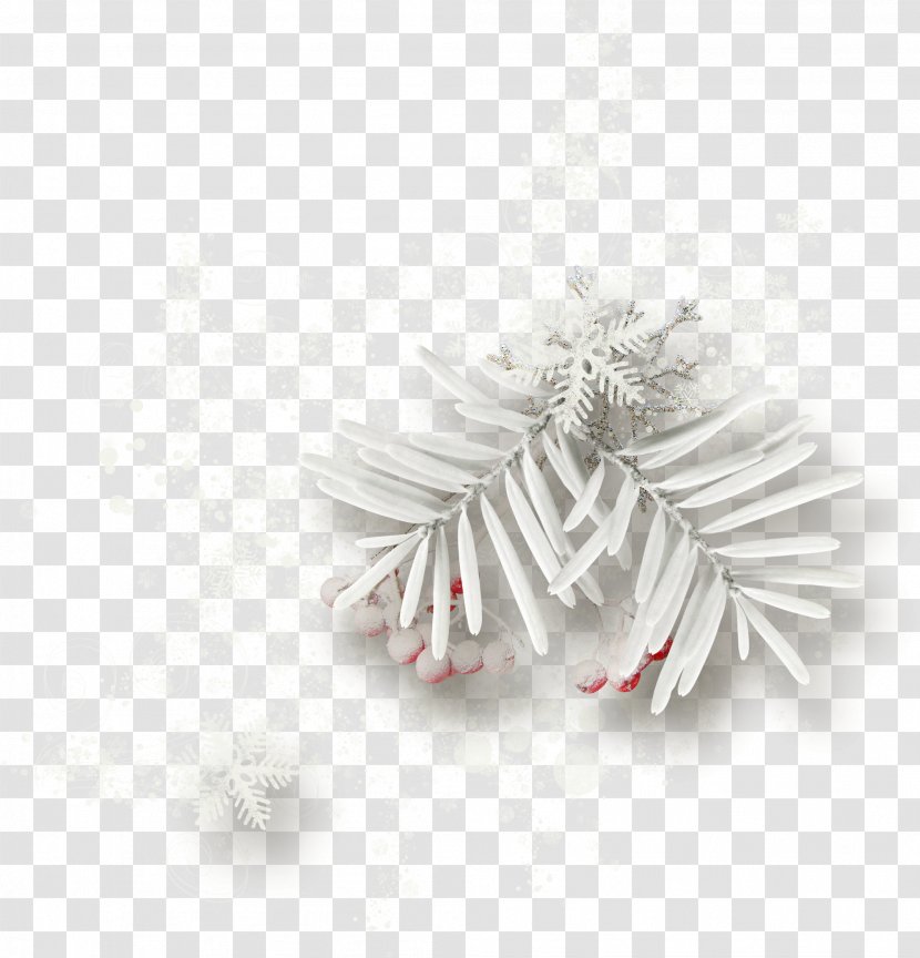 Christmas Decoration Ornament Blog Pine - Khanda Transparent PNG