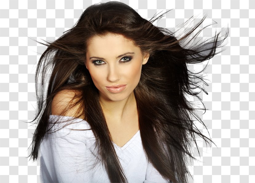 Hair Transplantation Beauty Parlour Care Hairdresser - Tree Transparent PNG