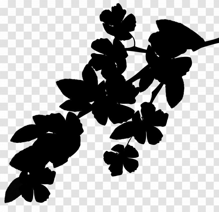 Pattern Silhouette Font Leaf Flowering Plant Transparent PNG