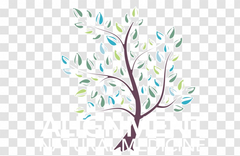 Twig Floral Design Clip Art - Flower - Leaf Transparent PNG