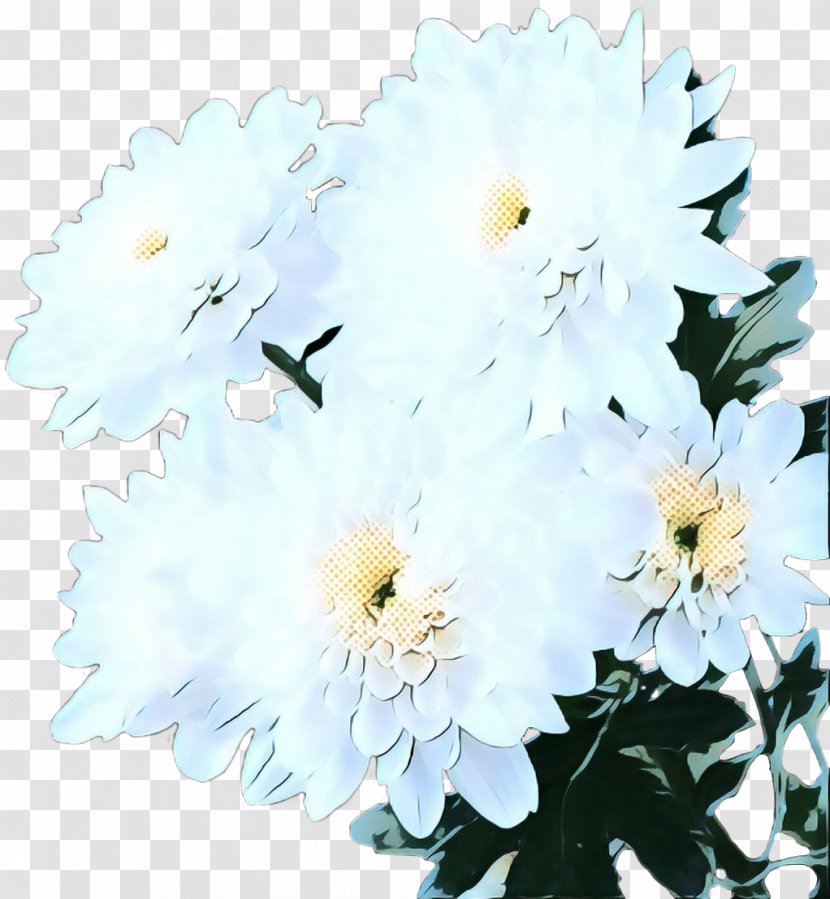 White Lily Flower - Plant - Floristry Daisy Family Transparent PNG