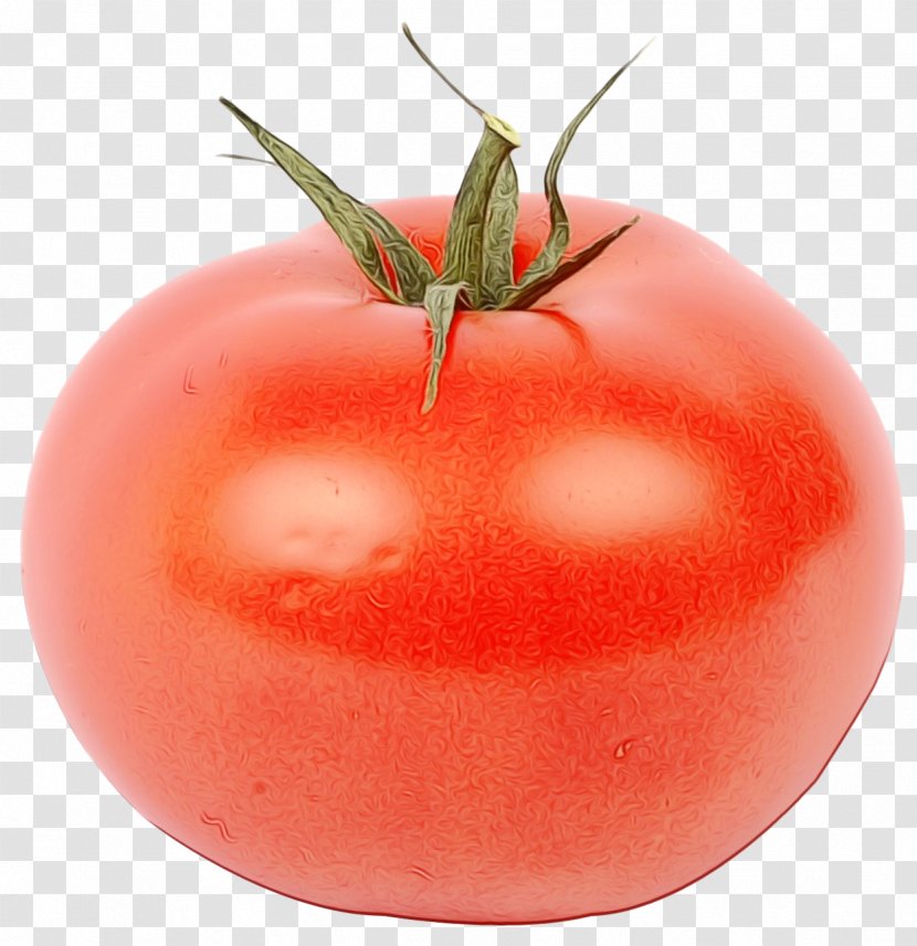 Tomato - Vegetable - Nightshade Family Food Transparent PNG