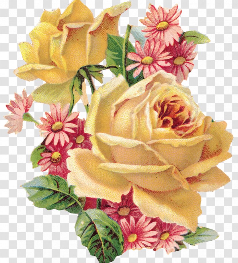 Lydias Passion Amazon.com The Heart Of An Agent Making Over Maggie Full-Color Fruits And Flowers Illustrations - Yellow - Peony Transparent PNG
