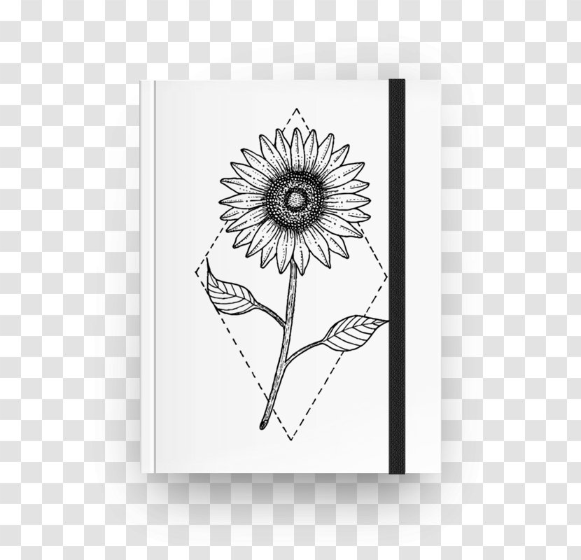 Drawing Art Paper Towel Flower - Picture Frame Transparent PNG