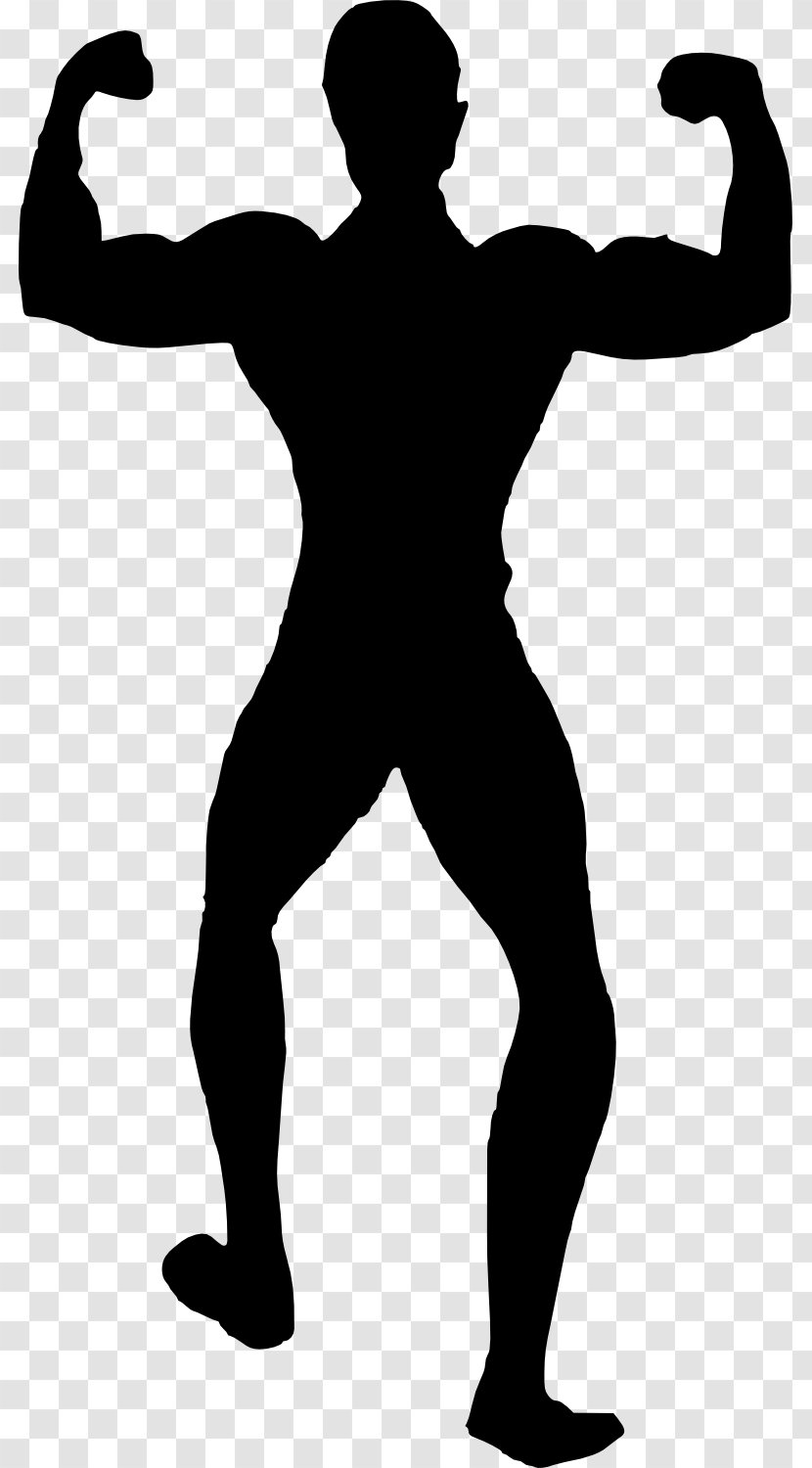 Silhouette Bodybuilding Female Physical Fitness - Joint Transparent PNG
