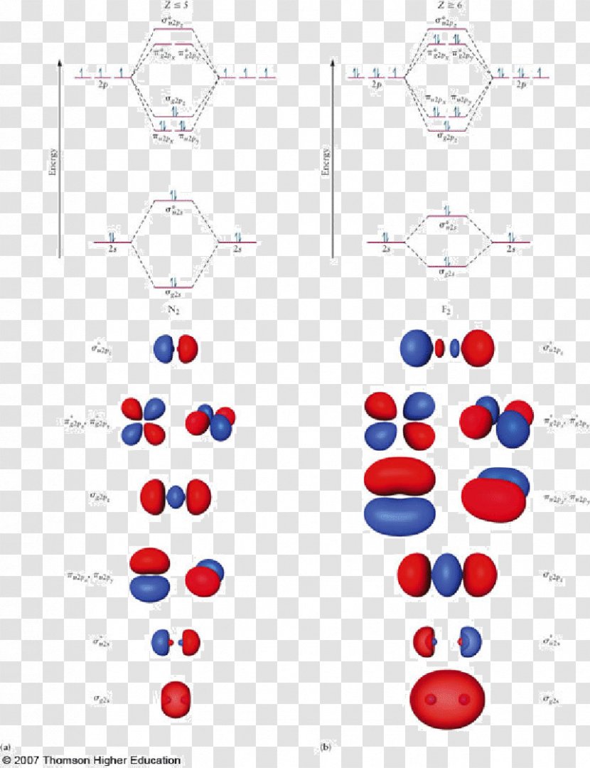 Diatomic Molecule Linear Combination Of Atomic Orbitals Molecular Orbital Theory Homonuclear - Text Transparent PNG