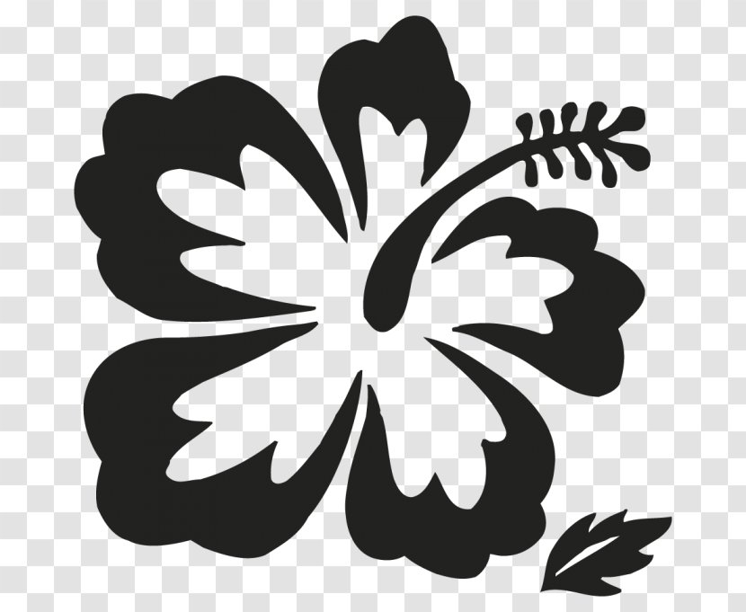 Hawaii Flower Drawing Clip Art - Hawaiian - Design Transparent PNG