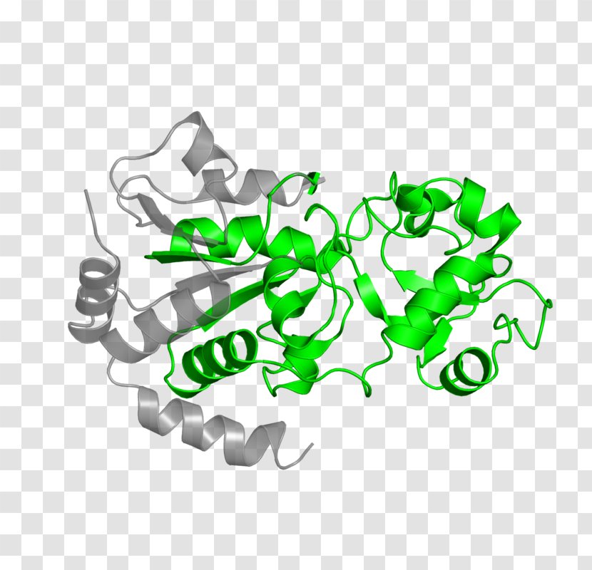 Green Clip Art - Organism - Design Transparent PNG