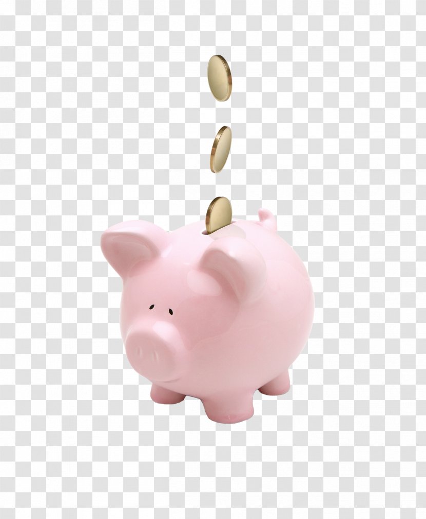 Saving Money Budget Piggy Bank Coin - Finance Transparent PNG