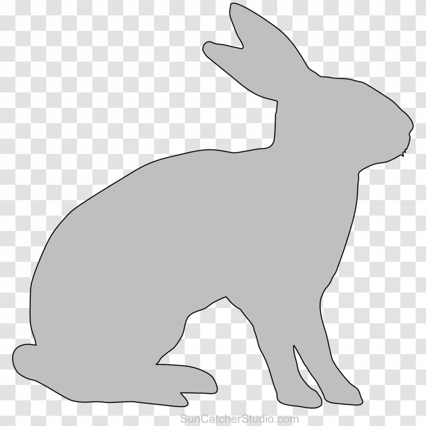 Domestic Rabbit Dog Hare Whiskers Snout - Cartoon Transparent PNG