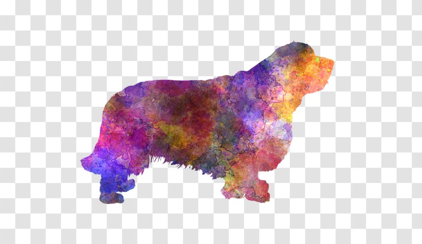 Dog Breed Clumber Spaniel Bear Snout - Romero Transparent PNG