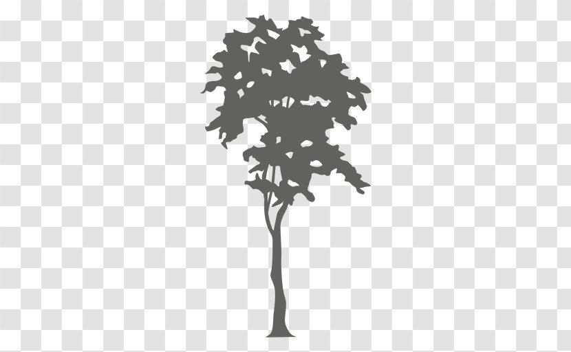 Tree Silhouette The Cardiologist's Daughter - Maple Vector Transparent PNG