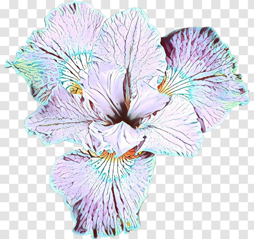 Flower Plant Petal Pink Cut Flowers - Herbaceous - Iris Transparent PNG