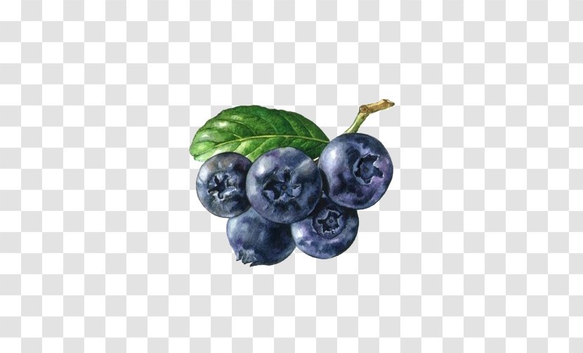 Berry Fruit Auglis - Blueberry Picture Material Transparent PNG
