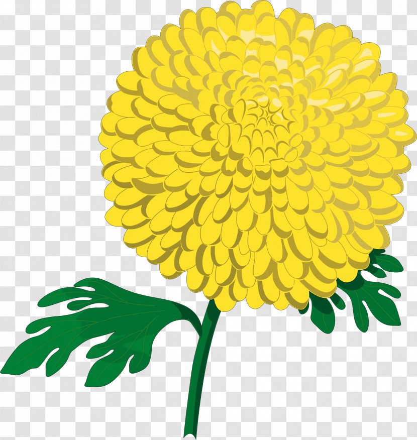 Chrysanthemum ×grandiflorum Flower Clip Art - Petal - Plant Stem Transparent PNG