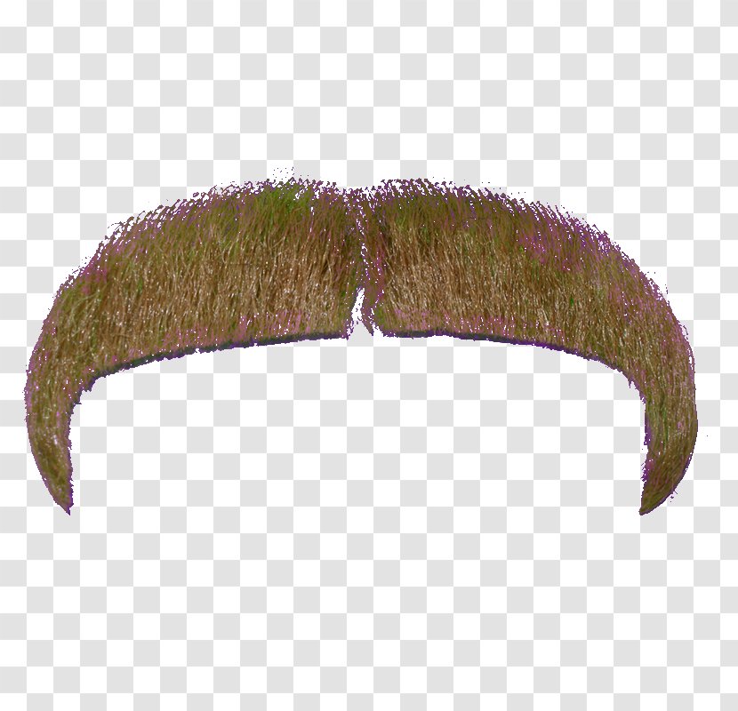 Leaf - Grass - Moustache File Transparent PNG
