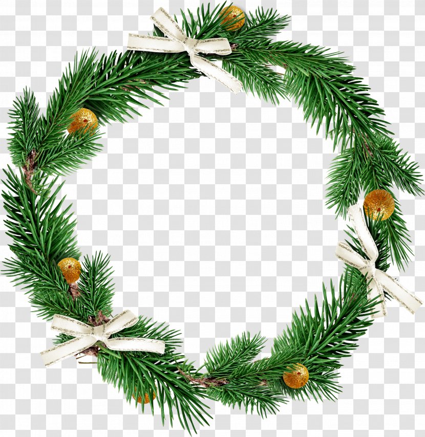 Christmas Decoration - Twig - Circle Transparent PNG