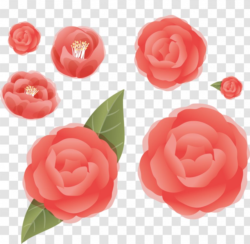 Garden Roses Flower - Red Transparent PNG
