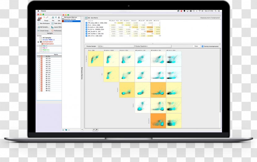 Computer Program FlowJo Flow Cytometry Software Dongle - Flowjo - Statical Analysis Transparent PNG