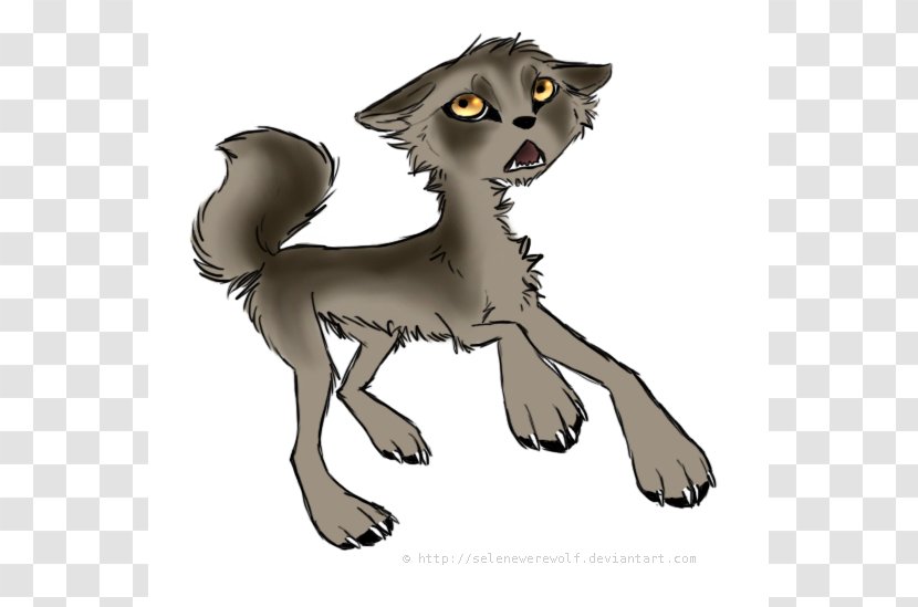 Dog Droopy Whiskers Cartoon Drawing - Wolf Transparent PNG