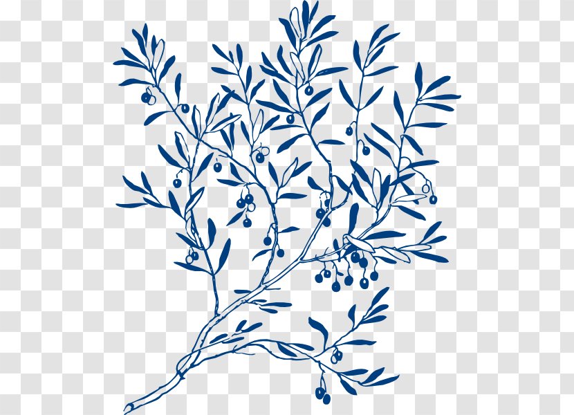 Olive Branch Coloring Book Tree Clip Art - Flower - Navy Clipart Transparent PNG