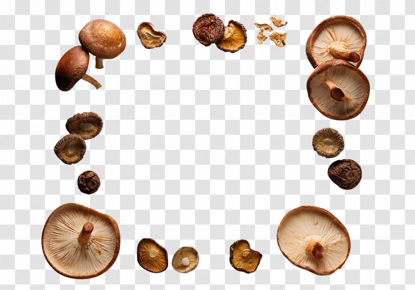 The Worlds Healthiest Foods Mushroom Picture Frame Shiitake - Agaricus - Mushrooms Ring Circle Transparent PNG