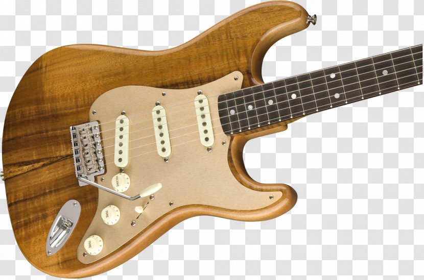 Bass Guitar Fender Stratocaster Acoustic-electric Custom Shop - Watercolor Transparent PNG