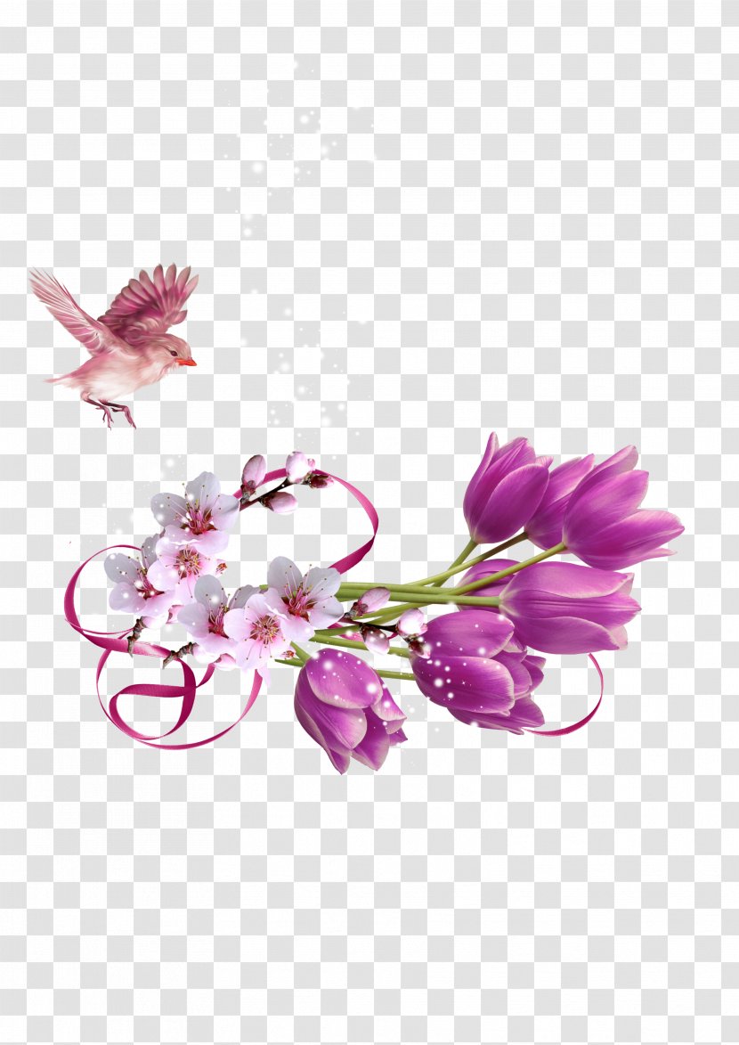 March 8 International Women's Day Holiday Telegram - Flowering Plant Transparent PNG