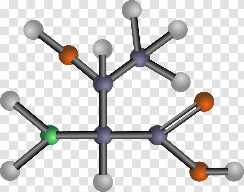 Amino Acid Asparagine Valine Amine - Essential - Carbon Transparent PNG