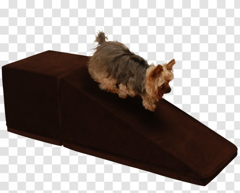 Dog Breed Yorkshire Terrier Pet Inclined Plane Veterinarian - Brown Transparent PNG