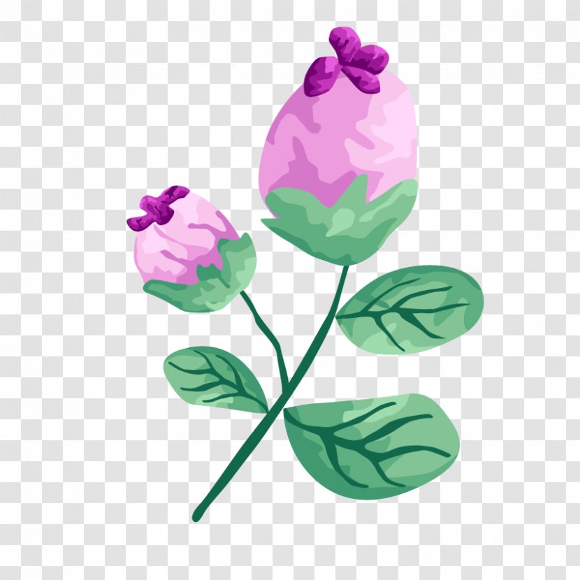Rose Plant - Leaf - Watercolor Painting Transparent PNG