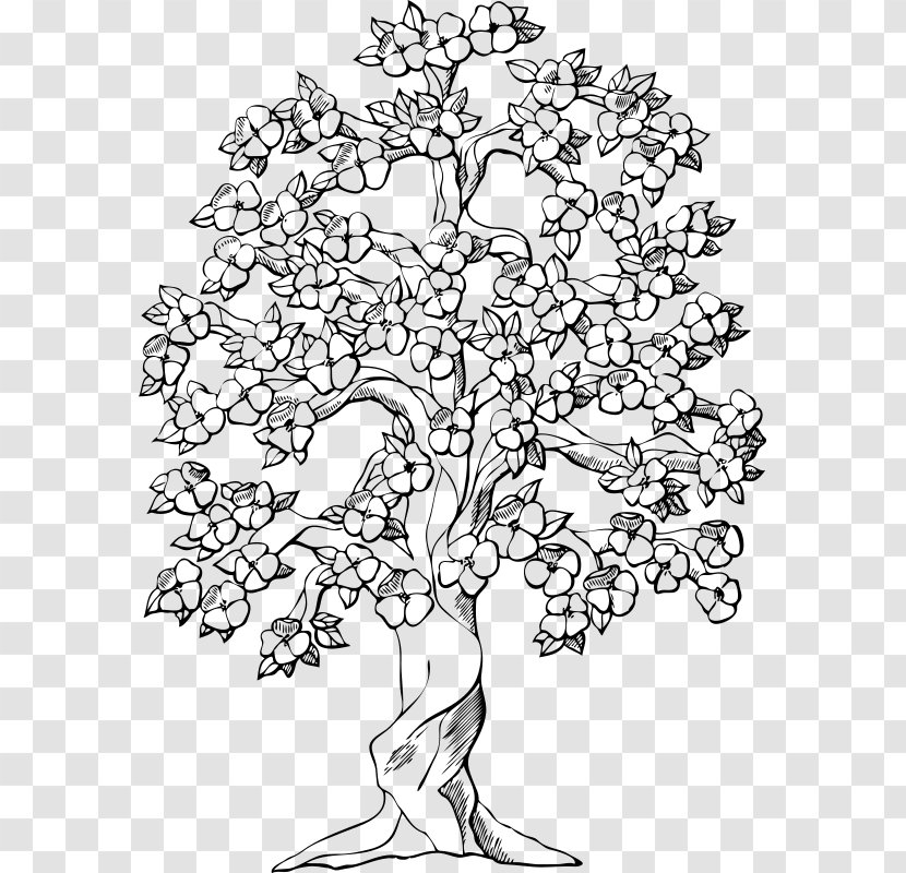 Drawing Tree Flower Clip Art - Blossom Transparent PNG