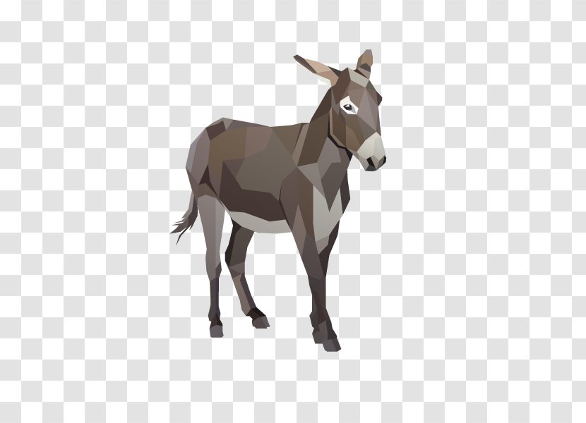 Foal Provence Donkey Horse Colt - Like Mammal - Vector Transparent PNG