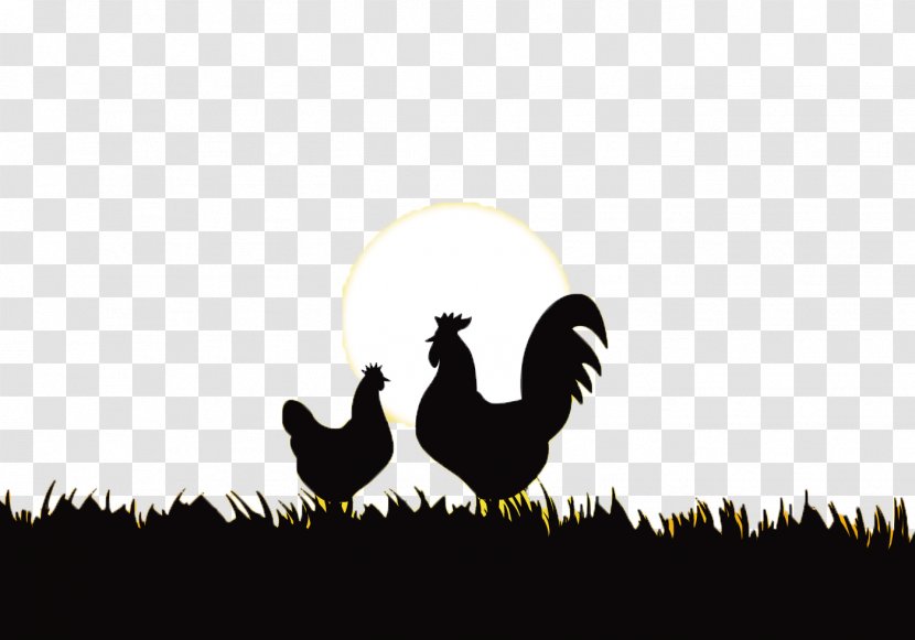 Rooster Chicken Silhouette - Water Bird - Sunrise Transparent PNG