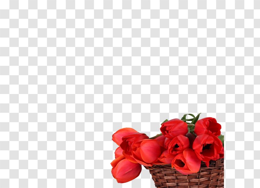 Floral Design Cut Flowers Tulip High-definition Television - Flower Transparent PNG