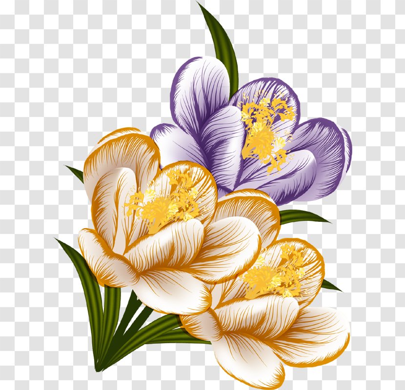 Floral Design Flower Crocus Clip Art - Garden - Bouquet Transparent PNG