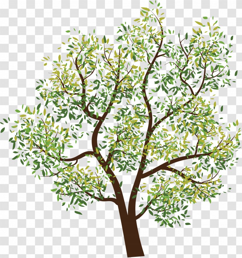 Tree Branch Clip Art - Shrub - Drawing Summer Tropical Plants Transparent PNG