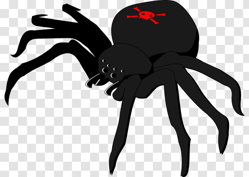 Widow Spiders Skull And Crossbones Clip Art - Cliparts Transparent PNG
