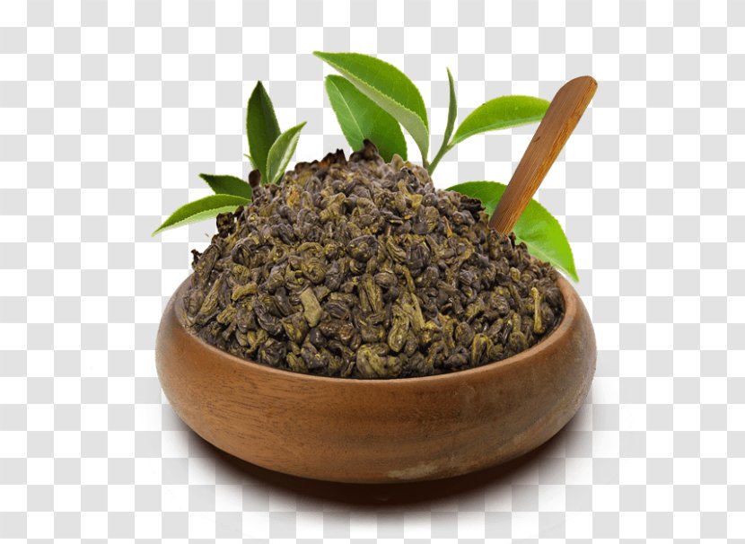 Oolong Nilgiri Tea Green Yogi - Dieting Transparent PNG