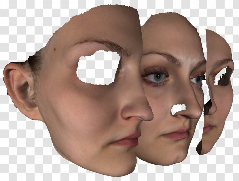 Face Nose Cheek Chin Human Head Transparent PNG