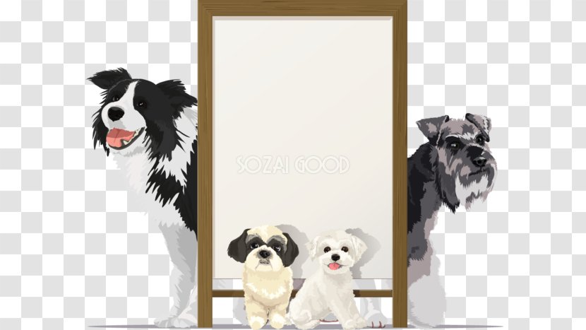 Border Collie Dog Breed Maltese Illustration - Illust Transparent PNG