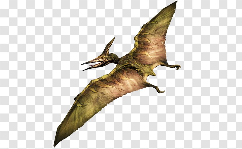 Pteranodon Primal Carnage: Extinction Pterodactyl Dinosaur - Pterosaurs Transparent PNG