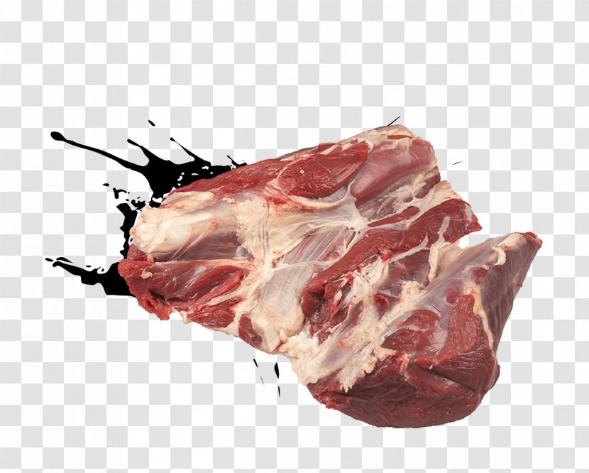 Ham Venison Capocollo Cecina Beef - Cartoon - Dog Food Transparent PNG