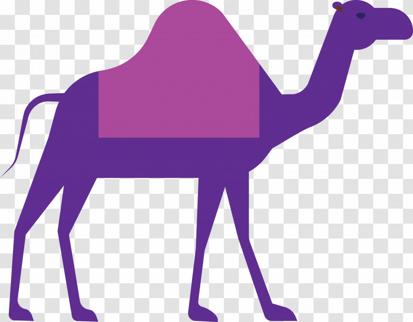 Camel Ramadan Arabic Culture Transparent PNG
