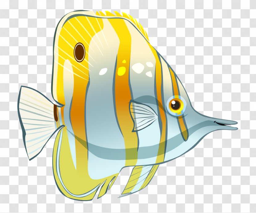 Fourspot Butterflyfish Drawing Clip Art - Chaetodon - Cartoon Butterfly Image Transparent PNG