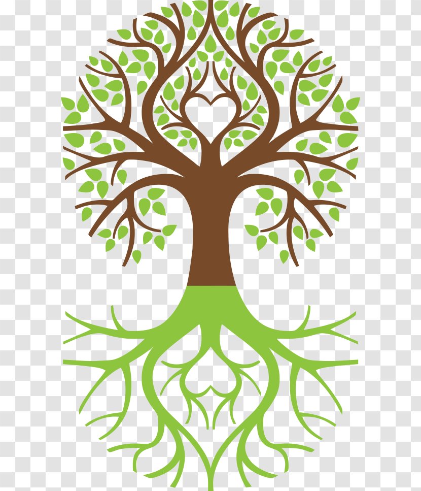 Tree Of Life Symbol Weeping Willow Arborvitae - Flower - Happiness Images Transparent PNG