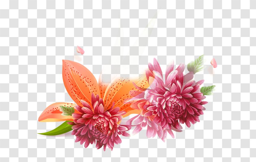 Chrysanthemum Adobe Illustrator Clip Art - Flower Arranging - Beautiful Transparent PNG